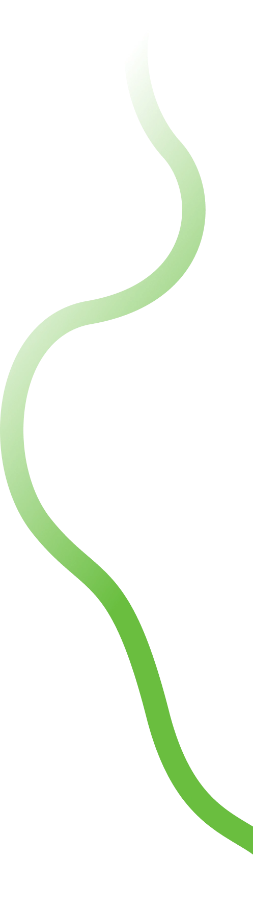 Services Vector